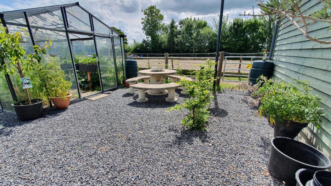 Bed and Breakfast De Stjelp Dongjum Екстер'єр фото